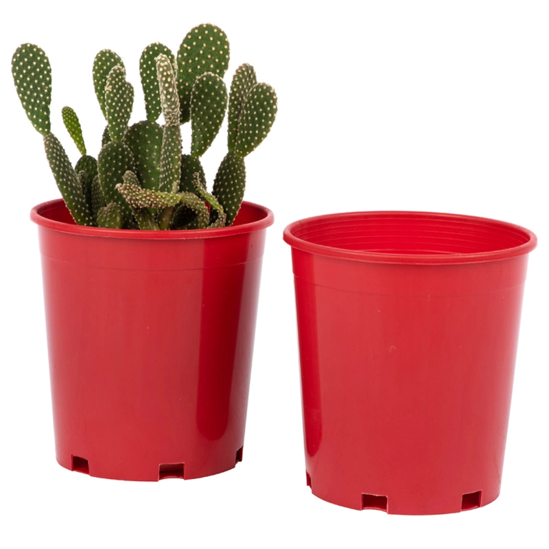 Round Plastic Succulent Cactus Gallon Bonsai Nursery Garden Pot