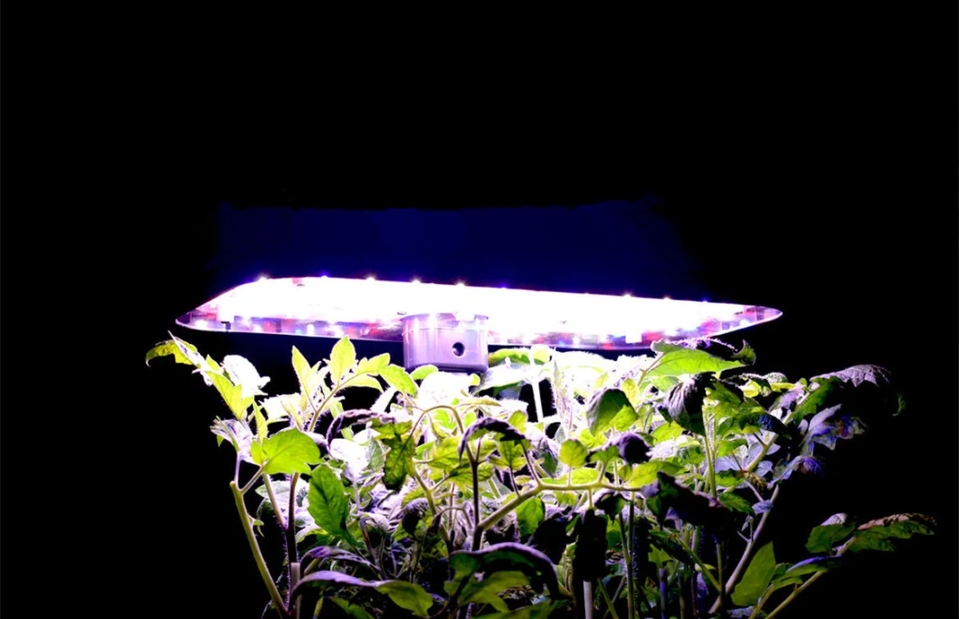 Smart Hydroponic Garden Self-Watering Planter Indoor Growing Smart Garden with LED Lights