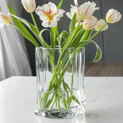 Florero decorativo irregular de vidrio Contenedores de plantas y flores Ci22603