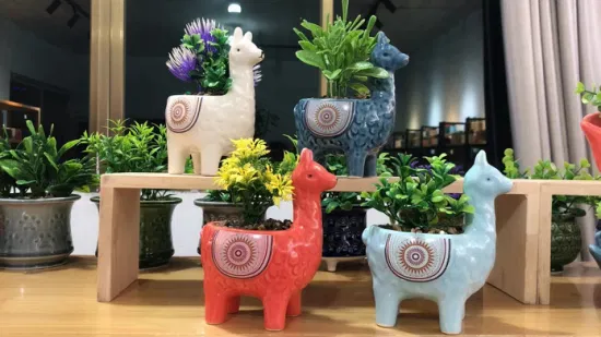 Maceta de cerámica con forma animal de nuevo diseño con plantas suculentas pequeñas